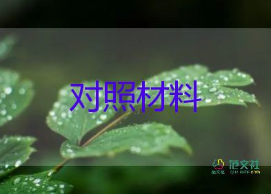 黨會個人對照材料6篇