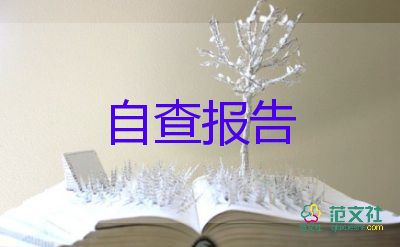 經(jīng)理述職述廉報告7篇