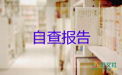 低保自查報告5篇