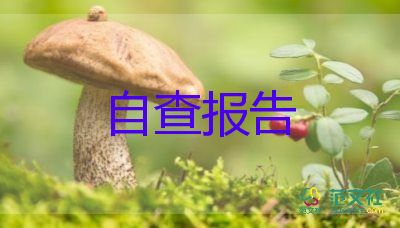 崗位業(yè)績工作報告推薦8篇