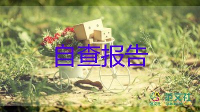 有關(guān)安全工作自查報(bào)告實(shí)用范文5篇