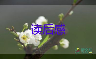 關(guān)于書(shū)的讀后感300字通用7篇