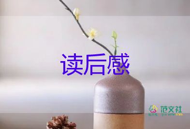 套的神奇讀后感8篇