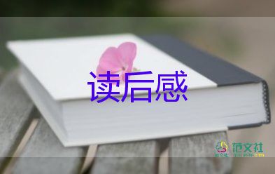 實(shí)用關(guān)于《美的歷程》讀后感參考范文5篇