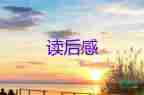 與幼兒教師對(duì)話讀后感5篇