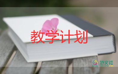 初一的教學(xué)計(jì)劃7篇