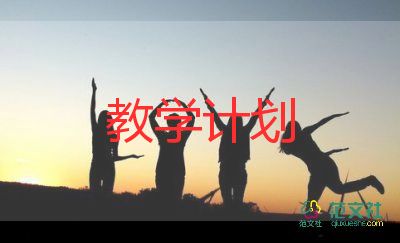 中國救援隊(duì)真棒教學(xué)反思6篇