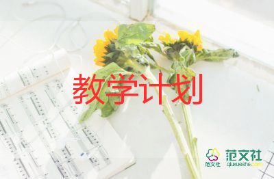 九年級教學(xué)計劃歷史6篇