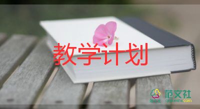 二年級(jí)語(yǔ)文上冊(cè)語(yǔ)文教學(xué)計(jì)劃最新7篇