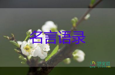 俄烏變局24小時(shí)，解密俄烏談判背后真相