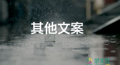 人教版的數(shù)學教材插畫遭到吐槽，小學教學個人工作總結3篇