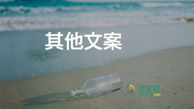 自我評價求職簡歷模板5篇