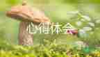 致敬消防英雄心得體會(huì)參考優(yōu)秀范文3篇