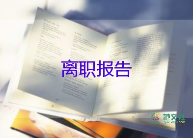 個人在公司辭職報(bào)告6篇