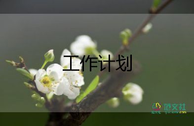 化工企業(yè)環(huán)保工作計(jì)劃5篇