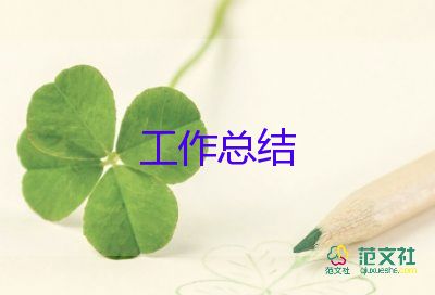 安保的個人總結(jié)通用5篇