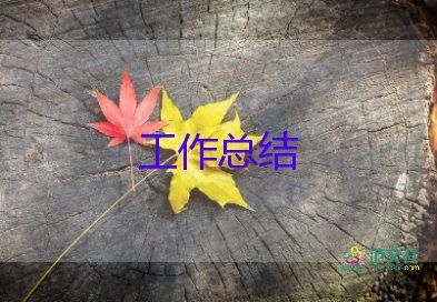 個人學(xué)生工作總結(jié)參考6篇