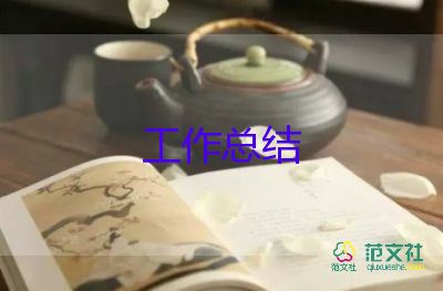 鎮(zhèn)財(cái)務(wù)個(gè)人工作總結(jié)優(yōu)質(zhì)8篇