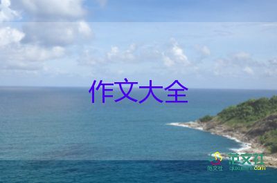 墻的作文800字初中作文精選8篇