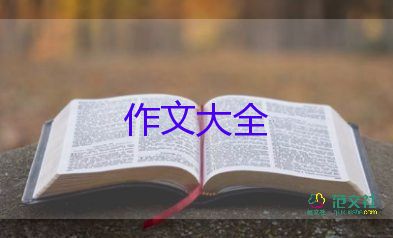 我喜歡的書作文500字7篇