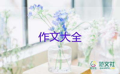 寫(xiě)年的作文精選8篇